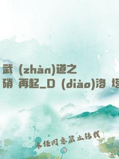 武戰(zhàn)道之硝煙再起