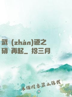 武戰(zhàn)道之硝煙再起