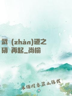 武戰(zhàn)道之硝煙再起