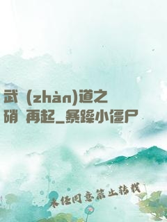 武戰(zhàn)道之硝煙再起