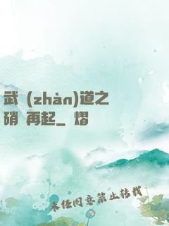 武戰(zhàn)道之硝煙再起