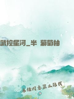 武控星河