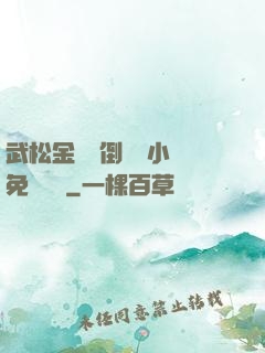 武松金蓮顛倒鸞鳳小說免費閱讀