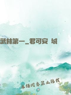 武林第一