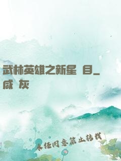 武林英雄之新星奪目
