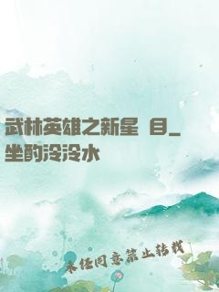 武林英雄之新星奪目