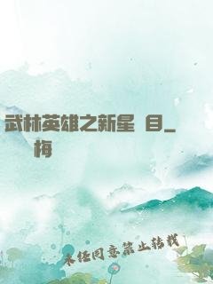 武林英雄之新星奪目