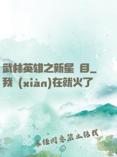 武林英雄之新星奪目