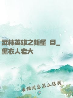 武林英雄之新星奪目