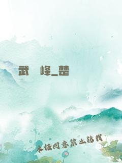 武極巔峰