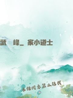 武極巔峰