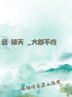 武極破天傳