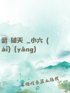 武極破天傳