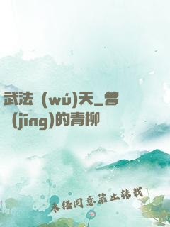 武法無(wú)天