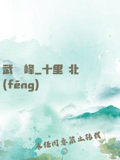 武煉巔峰