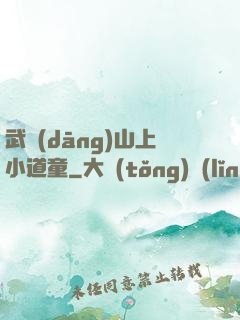 武當(dāng)山上小道童