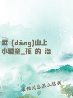 武當(dāng)山上小道童