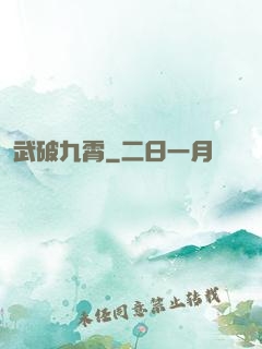 武破九霄