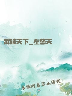 武破天下