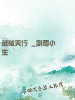 武破天行記