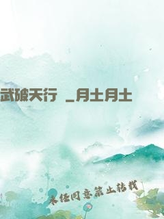武破天行記