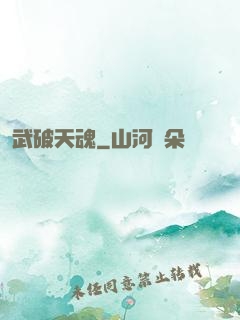 武破天魂