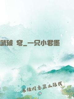 武破蒼穹