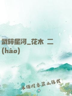武碎星河