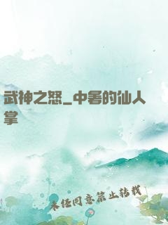 武神之怒