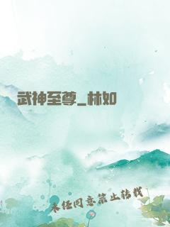 武神至尊