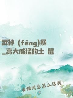 武神風(fēng)暴