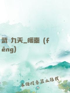 武絕九天