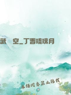 武臨長空
