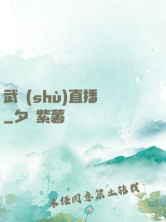 武術(shù)直播間