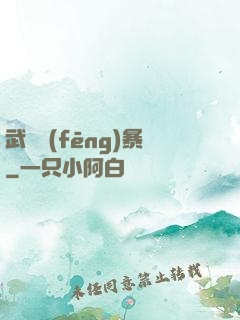武裝風(fēng)暴