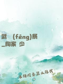 武裝風(fēng)暴