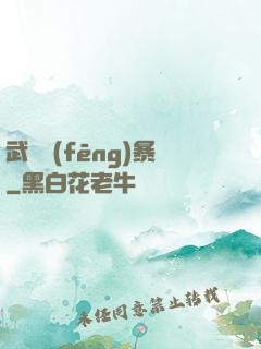 武裝風(fēng)暴