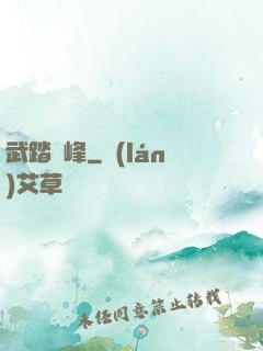 武踏巔峰