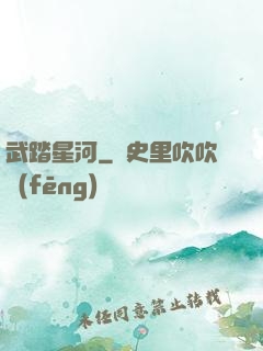 武踏星河