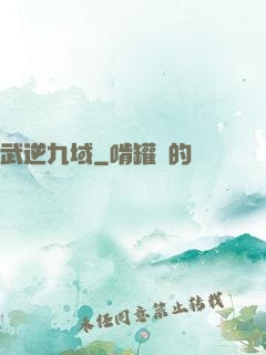 武逆九域