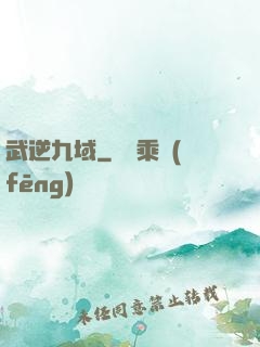 武逆九域