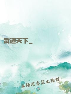 武道天下