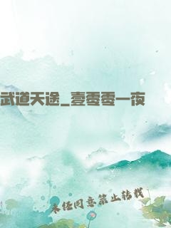 武道天途
