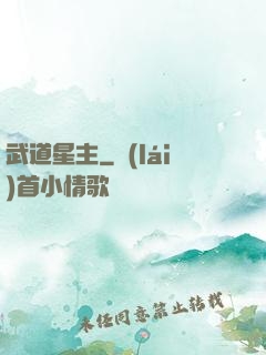 武道星主