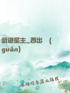 武道星主
