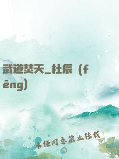 武道焚天