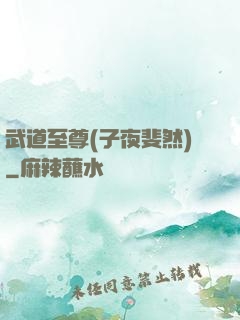 武道至尊(子夜斐然)
