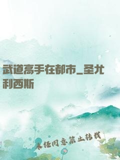 武道高手在都市