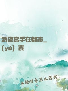 武道高手在都市