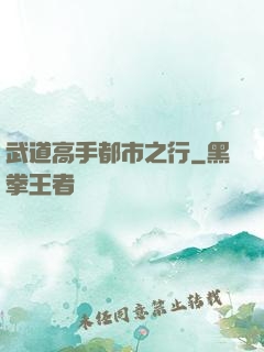 武道高手都市之行